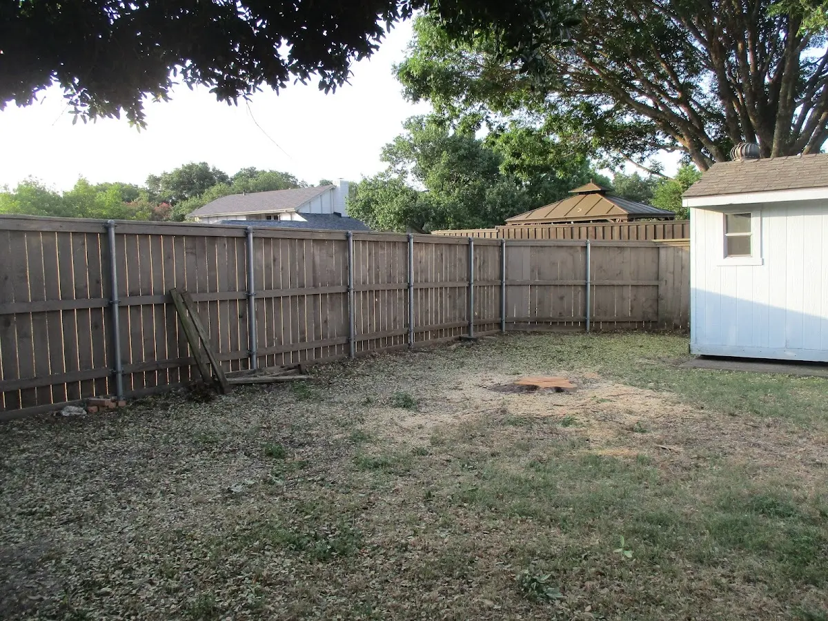 Cleared yard after professional tree removal in Harviell