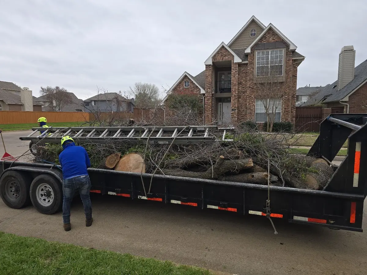 Expert Lot Clearing with proper safety equipment in Harviell